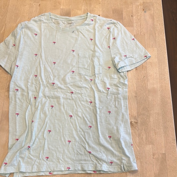 Express Other - Express Blue Short Sleeve Tees